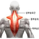 머슬엑스짐 이미지