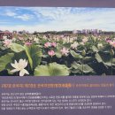 경기둘레길 시흥54코스 | 경기둘레길 시흥 54코스 - 봄볕 가득한 드넓은 시흥들판길(관곡지 - 여우고개)