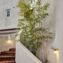 콩스빌리지 | [강화도애견펜션]반려견과 행복한 시간을 보낼수 있는 로만티카 애견리조트