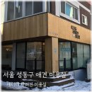 애니네 반려견 미용실 이미지