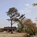 한옥(강산재) 이미지