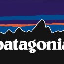 ​파타고니아 마운틴 힙색 - patagonia black hole waist pack - 5L 이미지