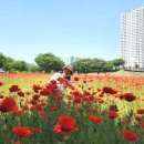 삼문풋살경기장 이미지