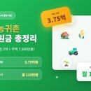 정부지원금