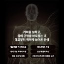 고려발효산삼 영농조합 자연이 15년 키운 기적, 진짜 산삼의 힘!발효산양산삼환