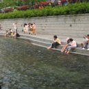 청계천생태학습장 네이버블로그
