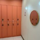 강남샘약국 | 복부지방흡입 수술과정 당일 통증, 비용, 회복 과정까지 복부지방흡입후기