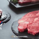 양지-2850 이미지