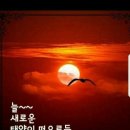 월드헬스체육관 이미지