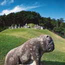 상지영서대학교 | 8년간 끔찍한 볼모 생활 자나깨나 ‘북벌의 꿈’꾸었다