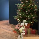 판교로289번길 이미지