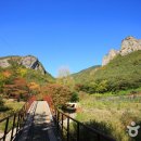 진보객주문학관 다용도관 | [경북 청송군][가족 추천 코스] [관광두레] 푸른 소나무 따라 슬로우, 슬로우 떠나는 여행