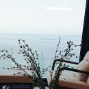 더세컨드하우스 | 고성 세컨드하우스 엘라스티52 후기, 주말마다 찾게 되는 오션뷰 라이프