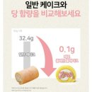 신상 제로 슈거 디저트!! 당류 0% 무설탕 베이커리 [프로젝트:H] 제로 수플레 치즈케이크 함께 먹어요!!