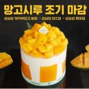 시루 이미지