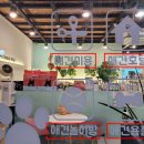 욜로오개 이미지