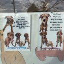 멍지펫살롱 이미지