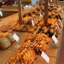 뚜쥬루돌가마점 | 천안 빵지순례 내돈내산으로 다녀온 뚜쥬루 빵돌가마마을 투어 후기