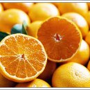 현대인의건강관리 이미지