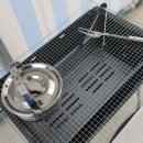 고재낚시터 이미지