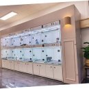 함께 있어줄개 이미지