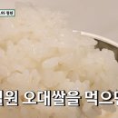 든든한 추어탕 힘나는 낙지볶음 이미지