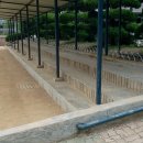 시지초등학교 이미지
