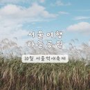 마포구시설관리공단 | 서울 여행 마포구 | 가을 꽃축제 상암 하늘공원 2025 서울억새축제 기본정보 주차장 꿀팁
