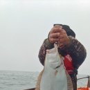 솔숲하우스 이미지