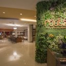 루츠하우스 이미지