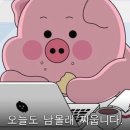 스테이 누누 네이버블로그