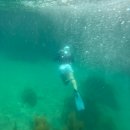 세븐일레븐양양하조대점 | 양양 스노쿨링 스팟 하조대전망대 다이빙O, 물고기,주차, 샤워 정보