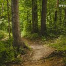 관악구가족행복센터 | 관악구 요양원 찾는다면 행복방문간호센터 관악구 최고의 요양원