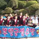 부안합기도 이미지