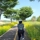 낙동강레일파크 주차장 이미지