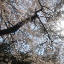 공공용 77 이미지