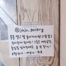 자주적관람 이미지