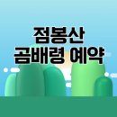 곰배령 PC | 점봉산 곰배령 예약 방법 사이트 여행 숙소