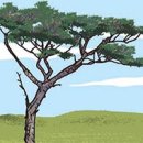부르는 소리