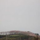 운산목장 이미지