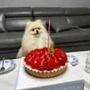 파리크라상PARISBAGUETTEBAKINGLAB베이킹랩파리바게뜨 | 수원역 AK몰 파리바게트 베이킹랩 홀케이크