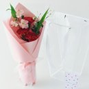 농업회사법인 송림팜주식회사 | 코코도르팜 생화 카네이션 레드 후기: 붉은 진심을 전하는 가장 완벽하고 정성스러운 감사 선물