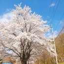 만수산자연휴양림 이미지