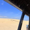 마하목장 | 나트랑 │판랑 사막 패키지X 단독 프라이빗 투어 내돈 가격 / 맞춤 일정 / 사진 꿀팁 / 바람 세기!