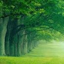 행복나무한의원 이미지