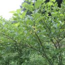 원산농장 이미지