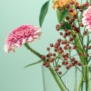 인천가톨릭대학교 일반대학원 이미지