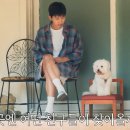 영웅