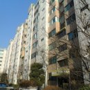 그린 (212) 이미지