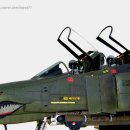 [Hasegawa] 1/48 F-4G Phantom II Wild Weasel 이미지